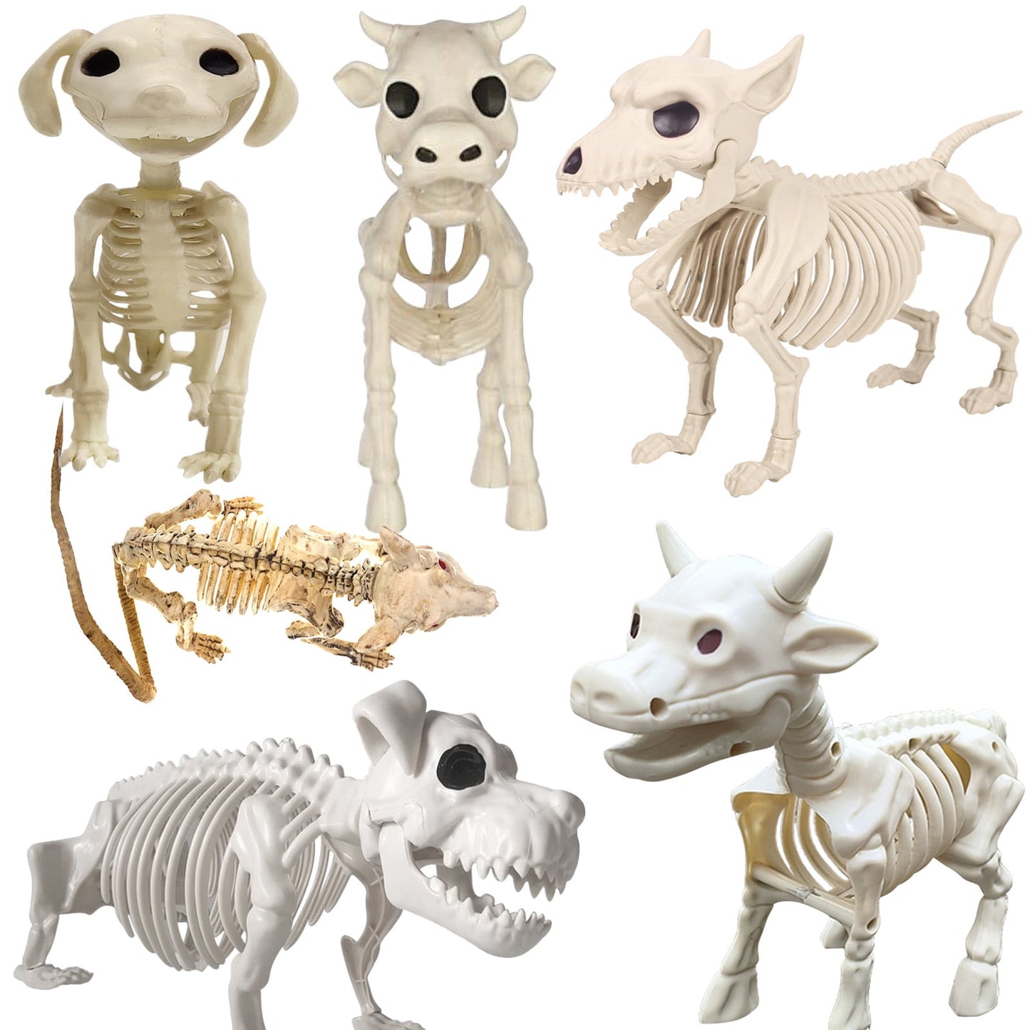 1PCS Cow Skeleton Halloween Decoration,2024 Animal Skeleton Gothic Style,Skeleton Cow Statue Creepy Halloween Skeleton Animals Halloween Novelty Skeleton Farm Animals Halloween Skeleton Decorations