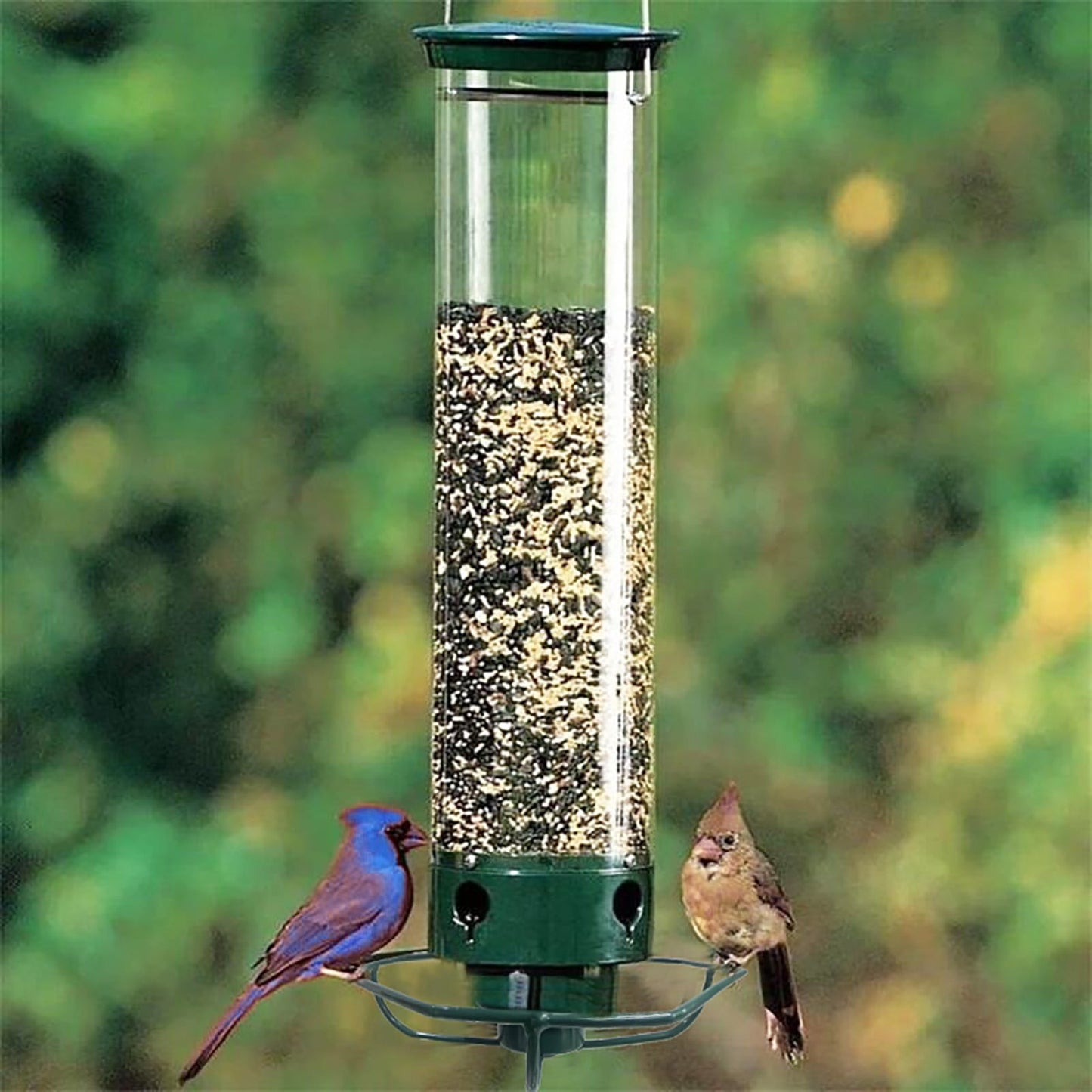 Banzch Squirrel-Proof Rotating Bird Feeder, 5 lbs Capacity, Clear