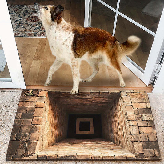 3D Rugs Optical Illusion,3D Hole Rug That Looks Like A Hole,Dog Gets Scared Of 3D Carpet, As Test & Game With Your Cat Or Dog,Visual Diatomite Mud Entrance Door Mat Waterproof Bathroom Floor Mat