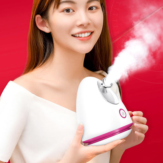 Banzch Facial Steamer, Ionic Face Steamer For Home Facial,Face Spa Sinuses Moisturizing Cleansing Pores For For Women Moisturizing Home SPA,Mothers Day Gifts