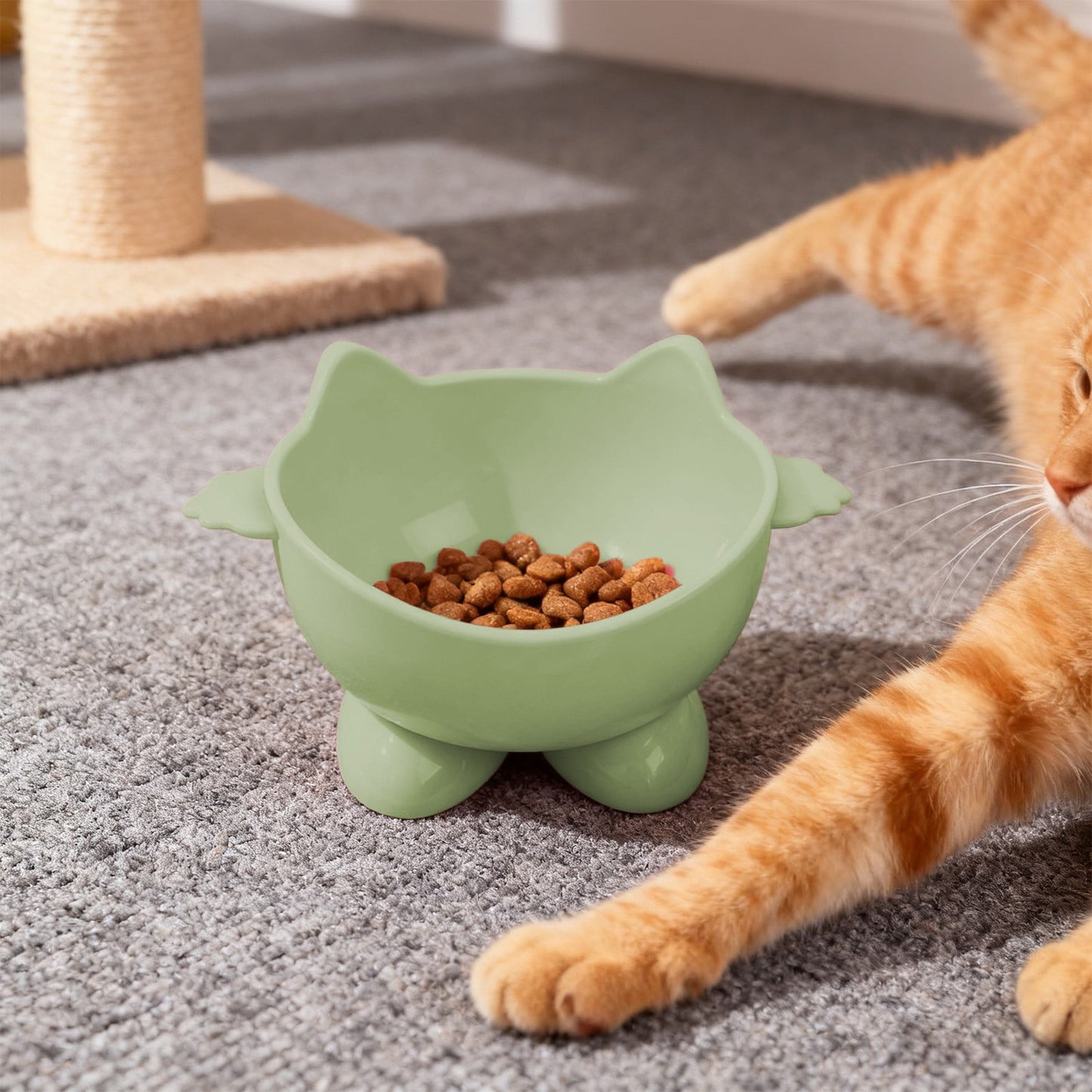 Elevated Cat Bowls,Cat Food Bowl,Large Capacity Elevated Cat Bowl, Tilted Pet Food And Water Dish With Wide Shallow Design For Whisker Relief And Neck Support