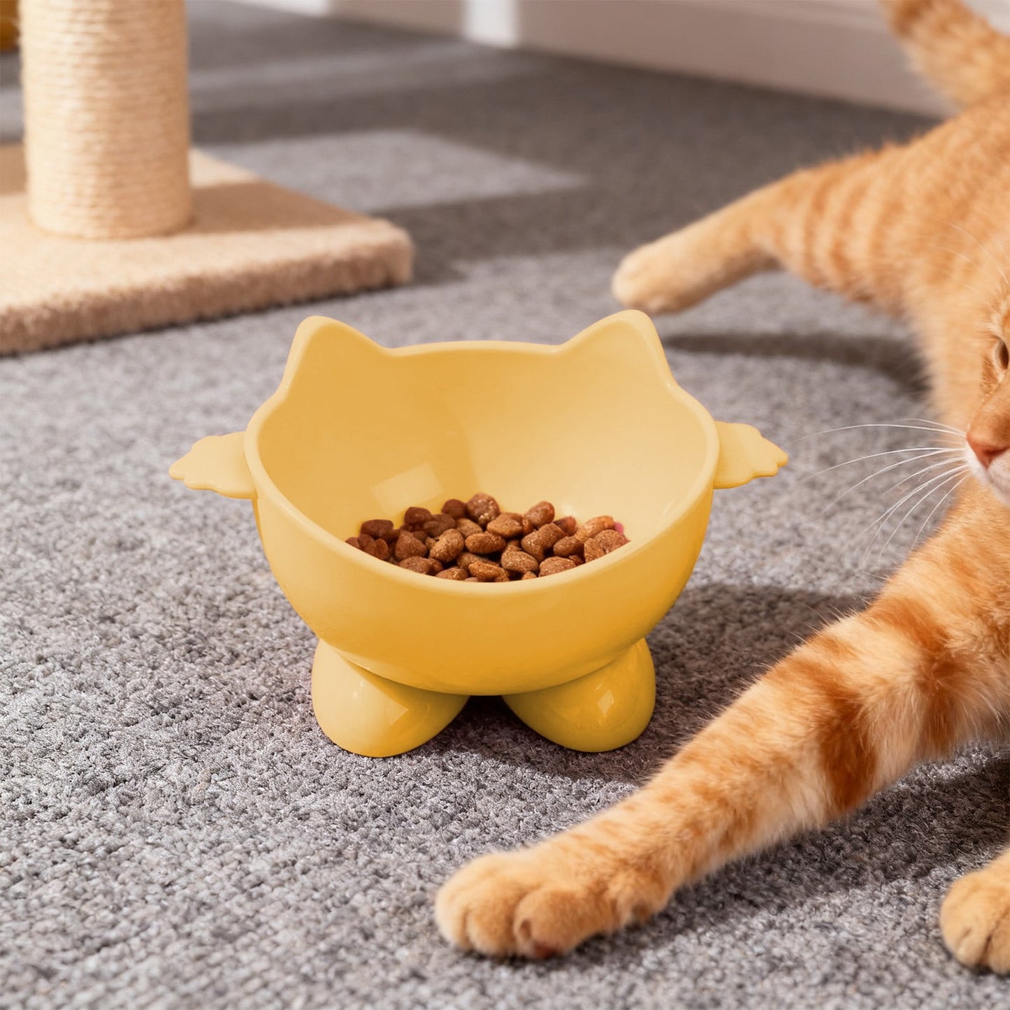 Elevated Cat Bowls,Cat Food Bowl,Large Capacity Elevated Cat Bowl, Tilted Pet Food And Water Dish With Wide Shallow Design For Whisker Relief And Neck Support